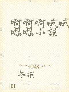 啊啊啊哦哦哦嗯嗯嗯小说