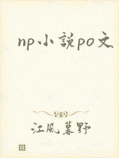 np小说po文