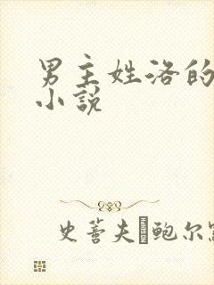 男主姓洛的总裁小说