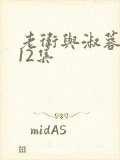 老卫与淑蓉1一12集