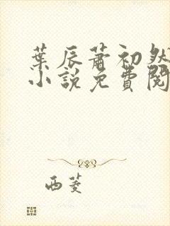 叶辰萧初然长篇小说免费阅读