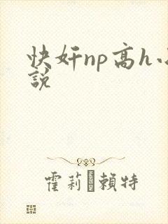 快奸np高h小说