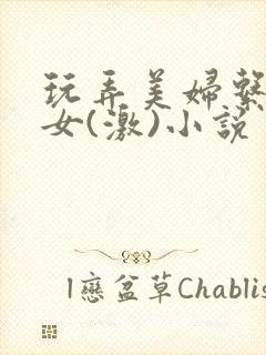 玩弄美妇系列熟女(激)小说