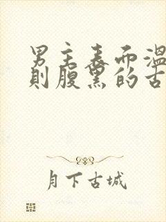 男主表面温柔实则腹黑的古言封面