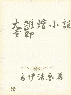 大杂烩小说最新章节封面