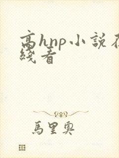 高hnp小说在线看