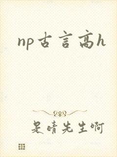 np古言高h