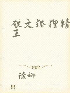 破文狐狸精双男主