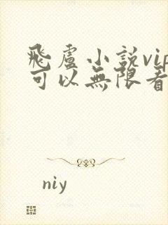 飞卢小说vip可以无限看吗