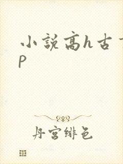小说高h古言np