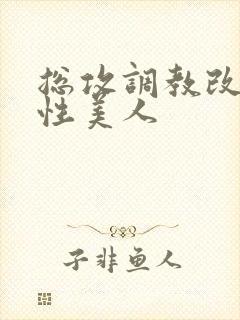 总攻调教改造双性美人