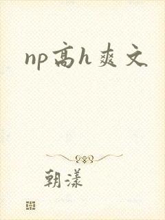 np高h爽文