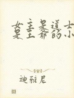 女主是道士男主是王爷的小说封面