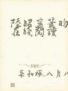 陆昭宁萧昀小说在线阅读