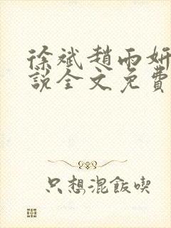 徐斌赵雨妍的小说全文免费阅读封面