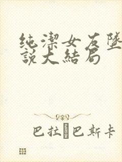 纯洁女友坠落小说大结局封面