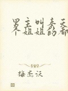 男主叫秦天有一个姐姐的都市小说封面