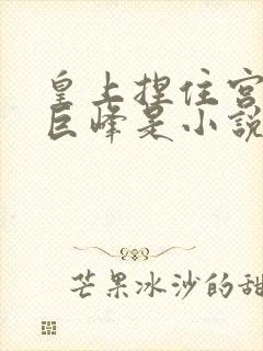 皇上捏住宫女的巨峰是小说改编吗