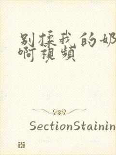 别揉我的奶头嗯啊视频