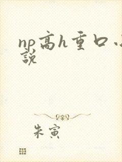 np高h重口小说