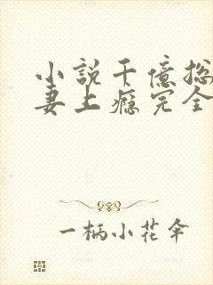 小说千亿总裁宠妻上瘾完全版封面