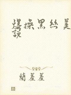 爆操黑丝美女小说