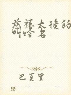 慈禧太后的丈夫叫啥名