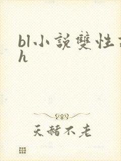 bl小说双性高h