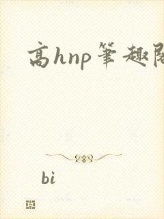 高hnp笔趣阁封面