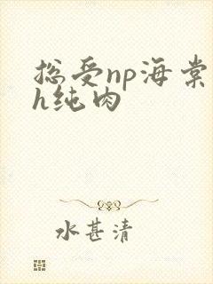 总受np海棠高h纯肉