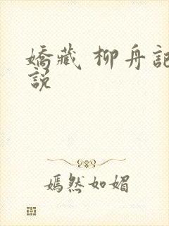 娇藏 柳舟记小说封面