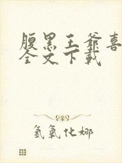 腹黑王爷喜当爹全文下载封面