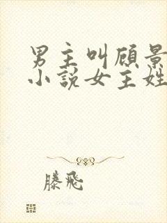 男主叫顾景琛的小说女主姓叶