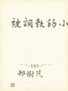 被调教的小奴封面