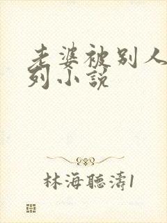 老婆被别人干系列小说