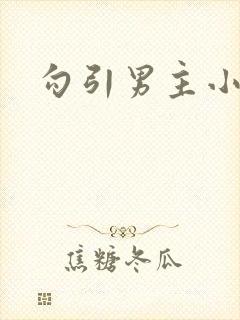勾引男主小说h封面