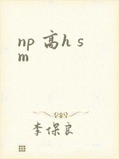 np 高h sm