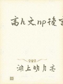 高h文np后宫