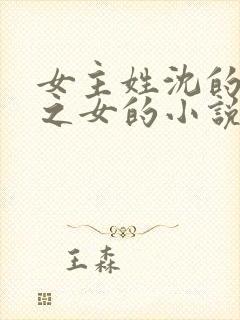 女主姓沈的丞相之女的小说封面