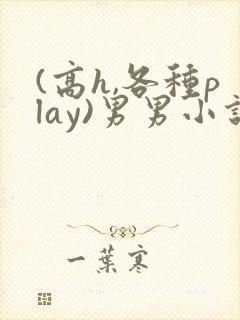 (高h,各种play)男男小说封面