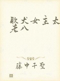 败犬女主太多了老八封面