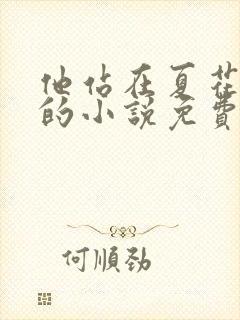 他站在夏花绚烂的小说免费阅读