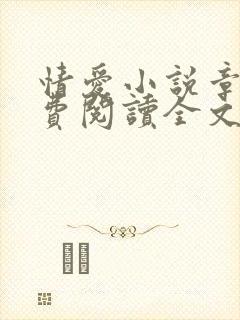 情爱小说章节免费阅读全文封面