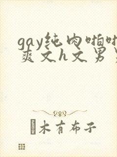 gay纯肉啪啪爽文h文男男np