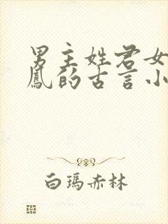 男主姓君女主姓凤的古言小说