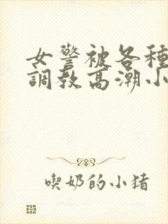 女警被各种刑具调教高潮小说封面