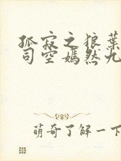 孤寂之狼叶凡与司空嫣然九十章封面