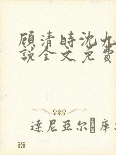 顾清时沈九笙小说全文免费阅读全文