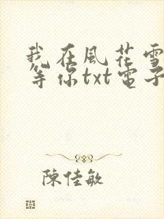 我在风花雪月里等你txt电子书