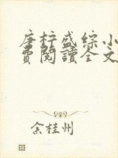 唐柠盛综小说免费阅读全文最新章节封面